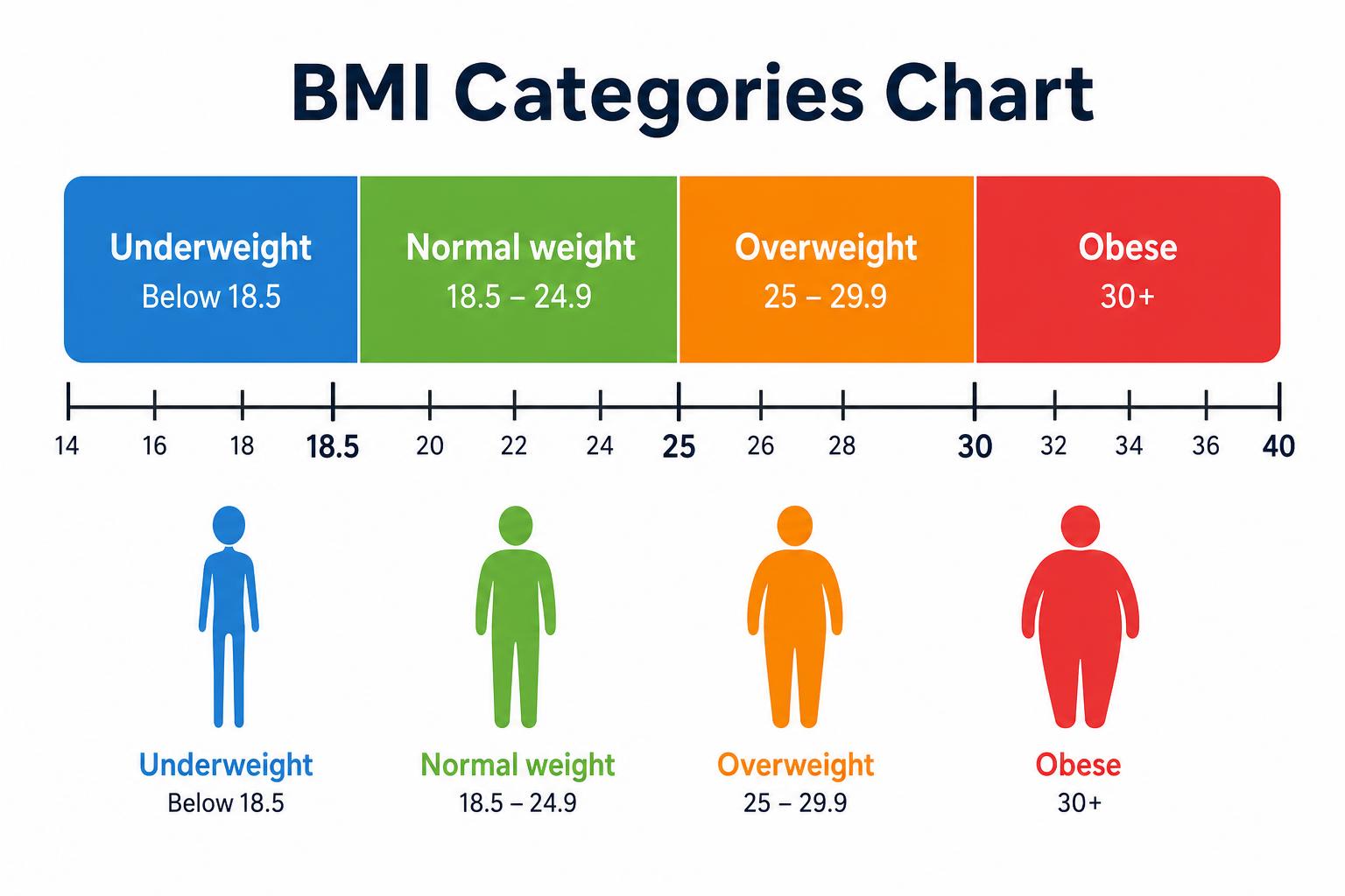 bmi-chart-for-adults-children-2026-guide-fitlifecalc